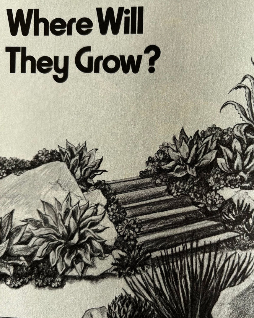 Pestil Books for vitruta Cactus and Succulents