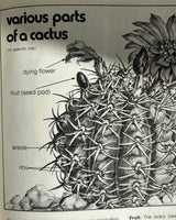 Pestil Books for vitruta Cactus and Succulents