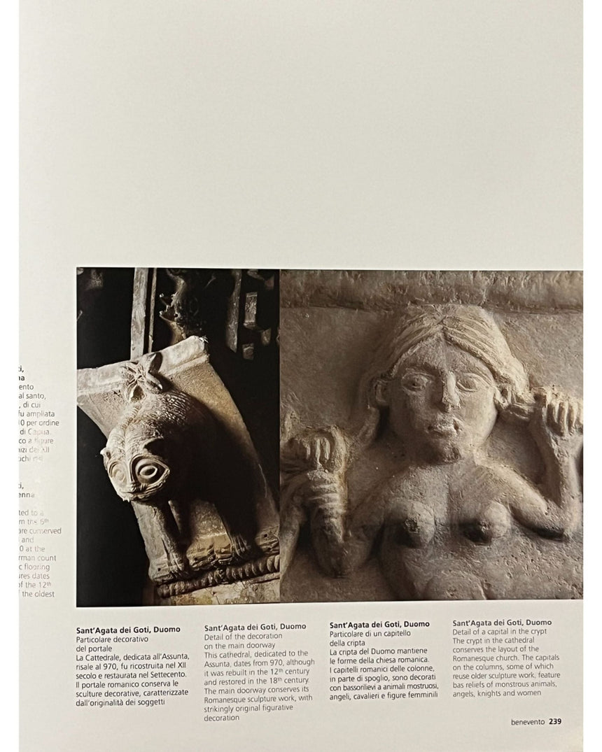 Pestil Books for vitruta Campania: arti e Cultura / Art and Culture