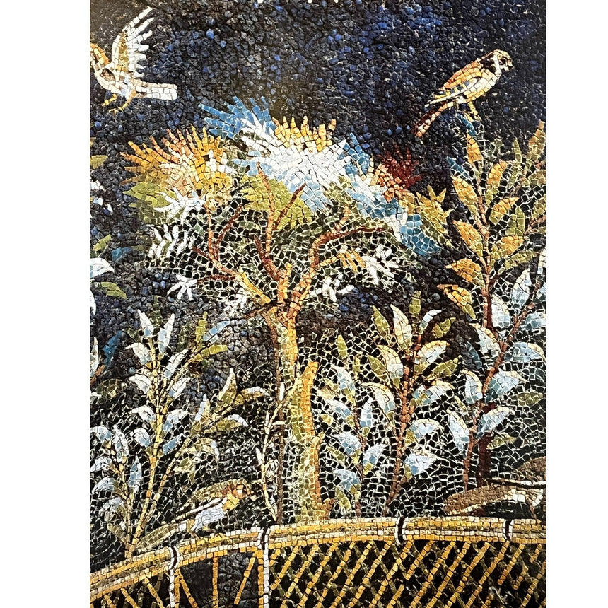 Pestil Books for vitruta Campania: arti e Cultura / Art and Culture