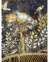 Pestil Books for vitruta Campania: arti e Cultura / Art and Culture