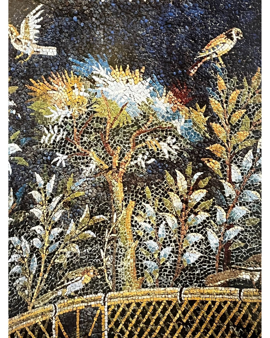 Pestil Books for vitruta Campania: arti e Cultura / Art and Culture
