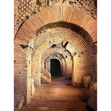 Pestil Books for vitruta Campania: arti e Cultura / Art and Culture