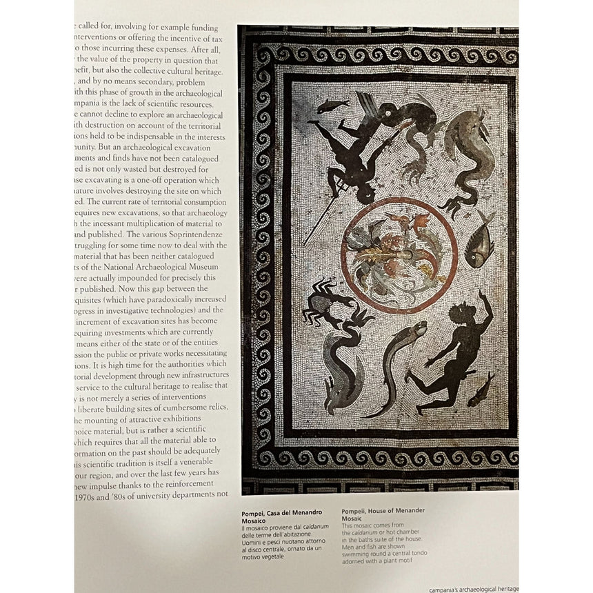 Pestil Books for vitruta Campania: arti e Cultura / Art and Culture