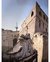 Pestil Books for vitruta Campania: arti e Cultura / Art and Culture