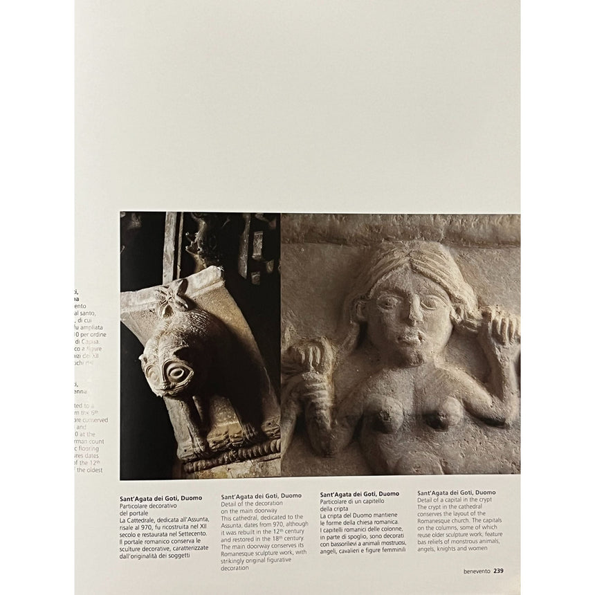 Pestil Books for vitruta Campania: arti e Cultura / Art and Culture