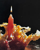 Pestil Books for vitruta Candlemaking: Creative Designs and Techniques