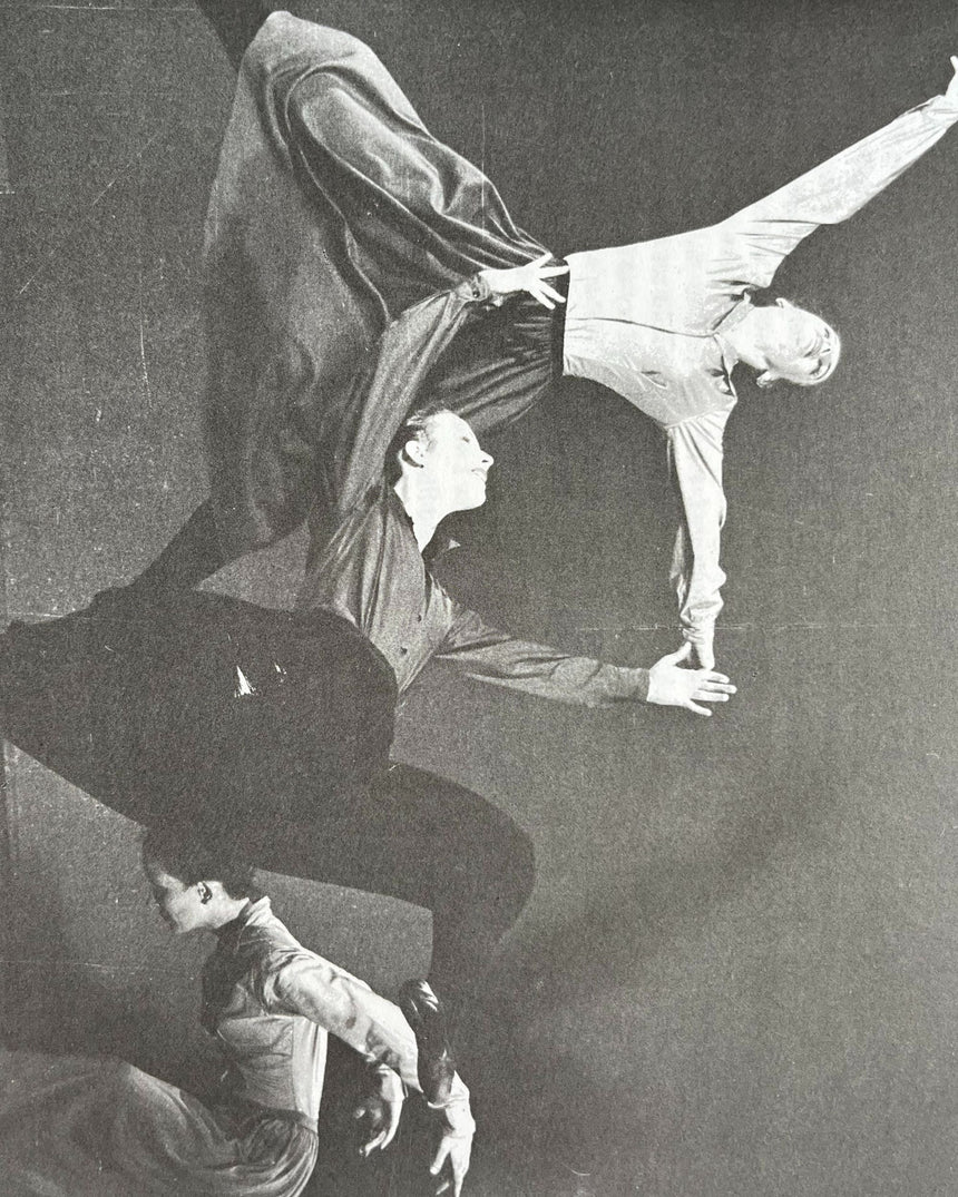 Pestil Books for vitruta Cohen: The Modern Dance: Seven Statement of Belief