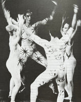 Pestil Books for vitruta Cohen: The Modern Dance: Seven Statement of Belief