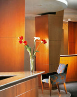 Pestil Books for vitruta Corporate Interiors No.2