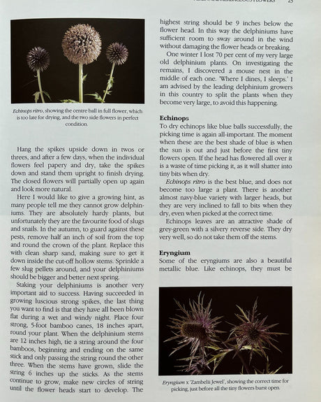 Pestil Books for vitruta Dried Fresh Flowers