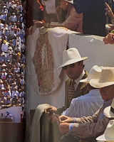 Pestil Books for vitruta Ecuador's Hidden Secret: The Panama Hat Legend