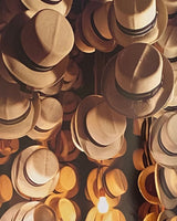 Pestil Books for vitruta Ecuador's Hidden Secret: The Panama Hat Legend