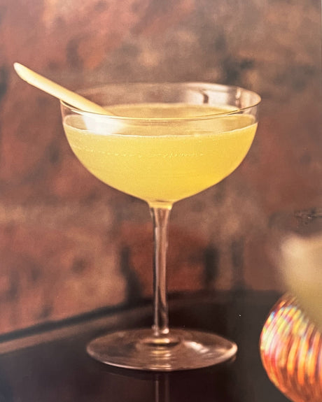 Pestil Books for vitruta Experimental Cocktail Club