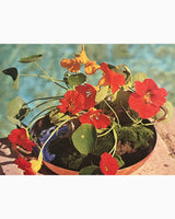 Pestil Books for vitruta Flower Arranging