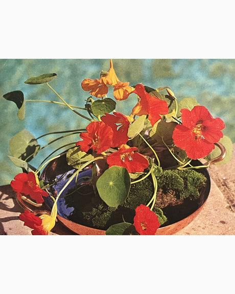 Pestil Books for vitruta Flower Arranging