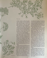 Pestil Books for vitruta Flower Arranging