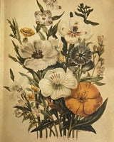 Pestil Books for vitruta Flower Arranging