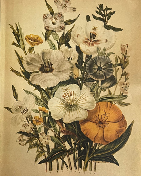 Pestil Books for vitruta Flower Arranging
