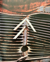 Pestil Books for vitruta France