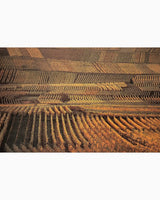 Pestil Books for vitruta France