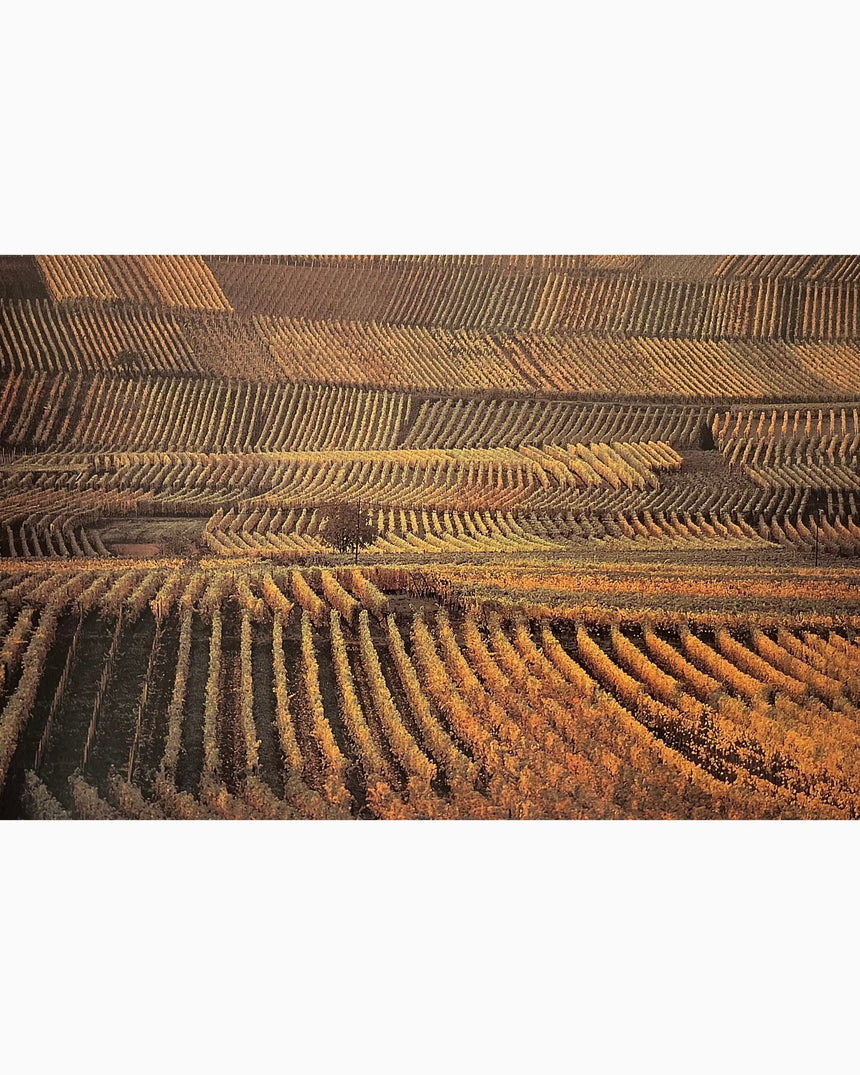 Pestil Books for vitruta France