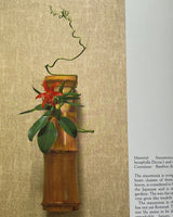 Pestil Books for vitruta Ikebana With Seasons
