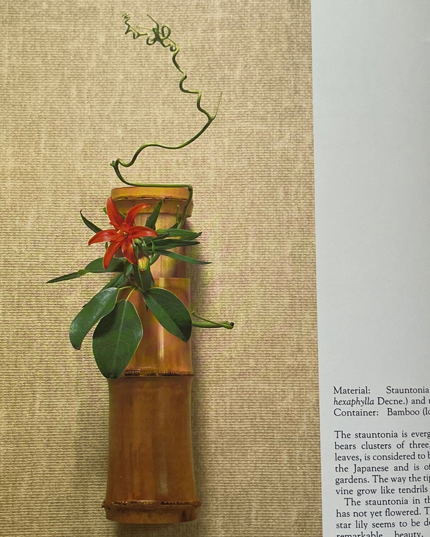 Pestil Books for vitruta Ikebana With Seasons