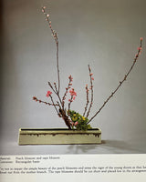 Pestil Books for vitruta Ikebana With Seasons