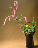 Pestil Books for vitruta Ikebana With Seasons