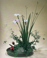 Pestil Books for vitruta Ikebana With Seasons