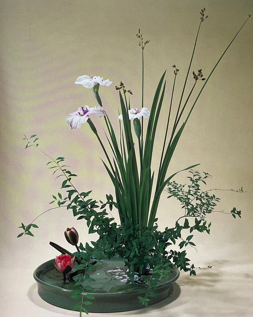Pestil Books for vitruta Ikebana With Seasons