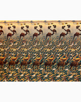 Pestil Books for vitruta Interactive Pictures In 3-D