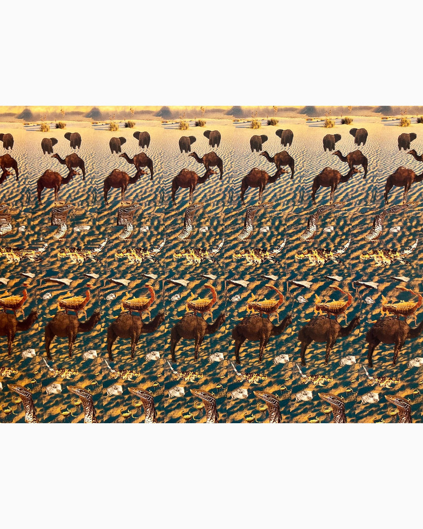 Pestil Books for vitruta Interactive Pictures In 3-D