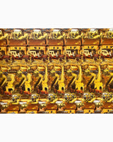 Pestil Books for vitruta Interactive Pictures In 3-D