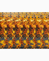 Pestil Books for vitruta Interactive Pictures In 3-D