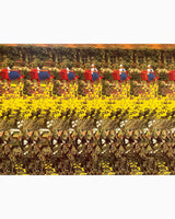 Pestil Books for vitruta Interactive Pictures In 3-D