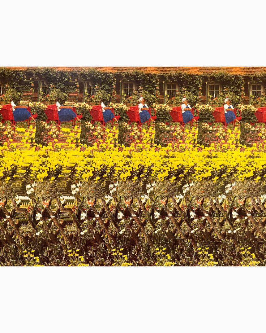Pestil Books for vitruta Interactive Pictures In 3-D