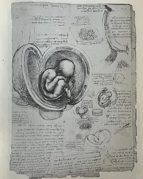 Pestil Books for vitruta Leonardo Da Vinci Drawings: 60 Illustrations