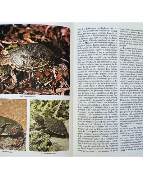 Pestil Books for vitruta Les Reptiles