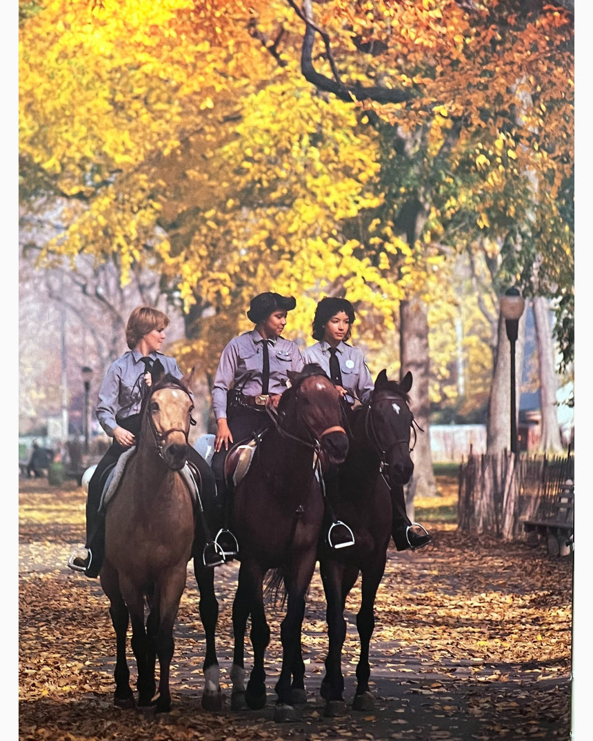 Pestil Books for vitruta Manhattan