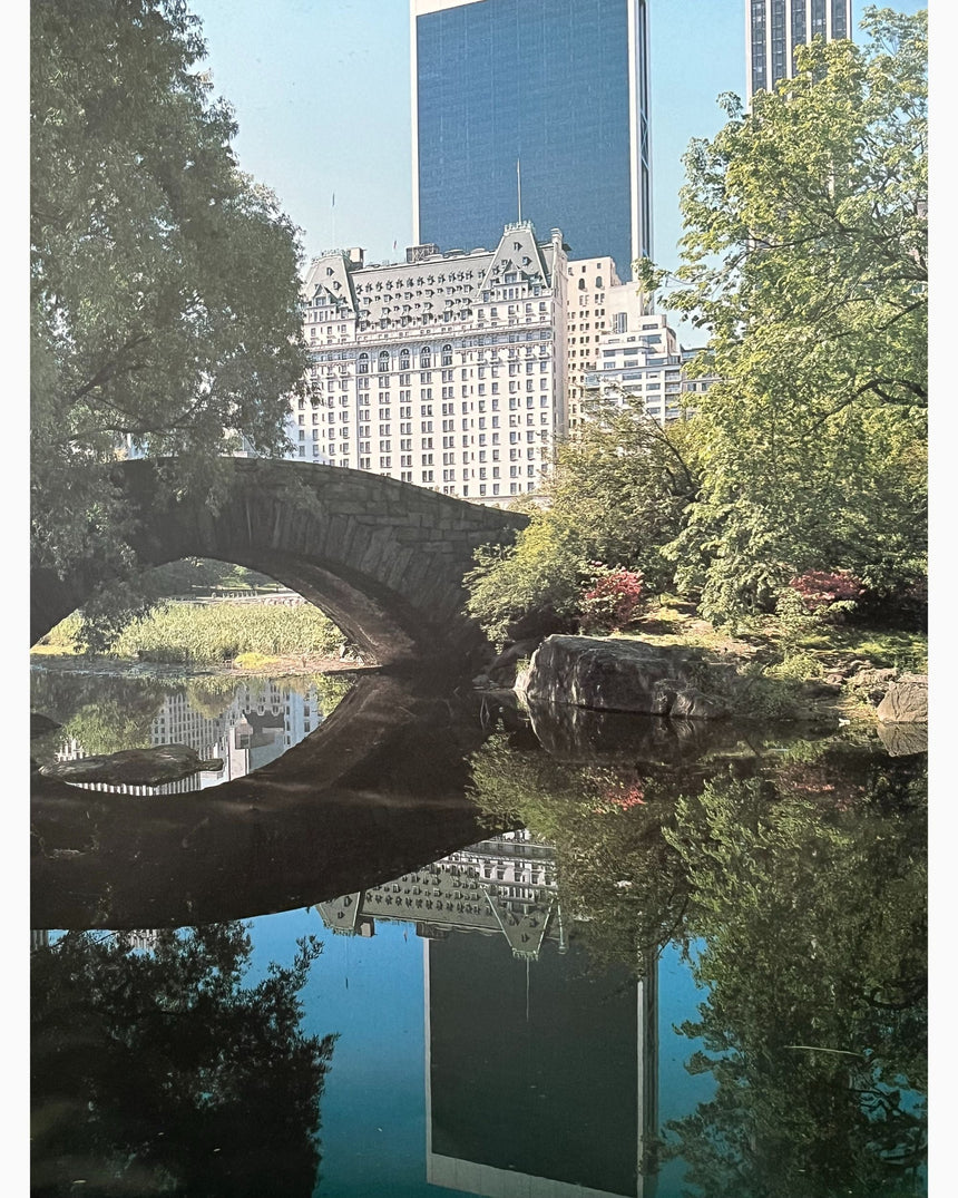 Pestil Books for vitruta Manhattan