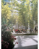 Pestil Books for vitruta Manhattan