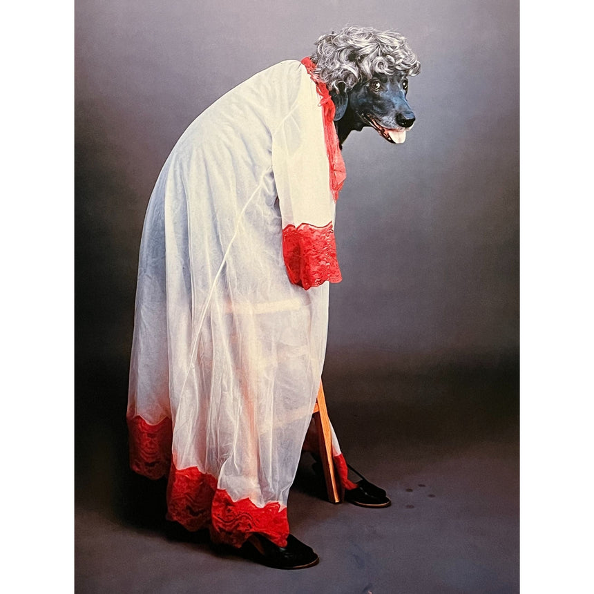 Pestil Books for vitruta Man’s Best Friend