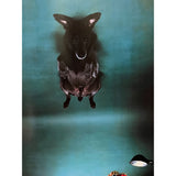 Pestil Books for vitruta Man’s Best Friend