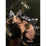 Pestil Books for vitruta Man’s Best Friend