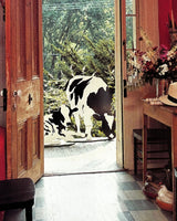 Pestil Books for vitruta Mary Gilliatt's Short Cuts to Great Decorations