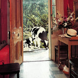 Pestil Books for vitruta Mary Gilliatt's Short Cuts to Great Decorations