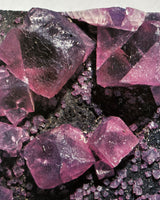 Pestil Books for vitruta Mineral and Rocks: The Worlds Most Beautiful Natural Wonders