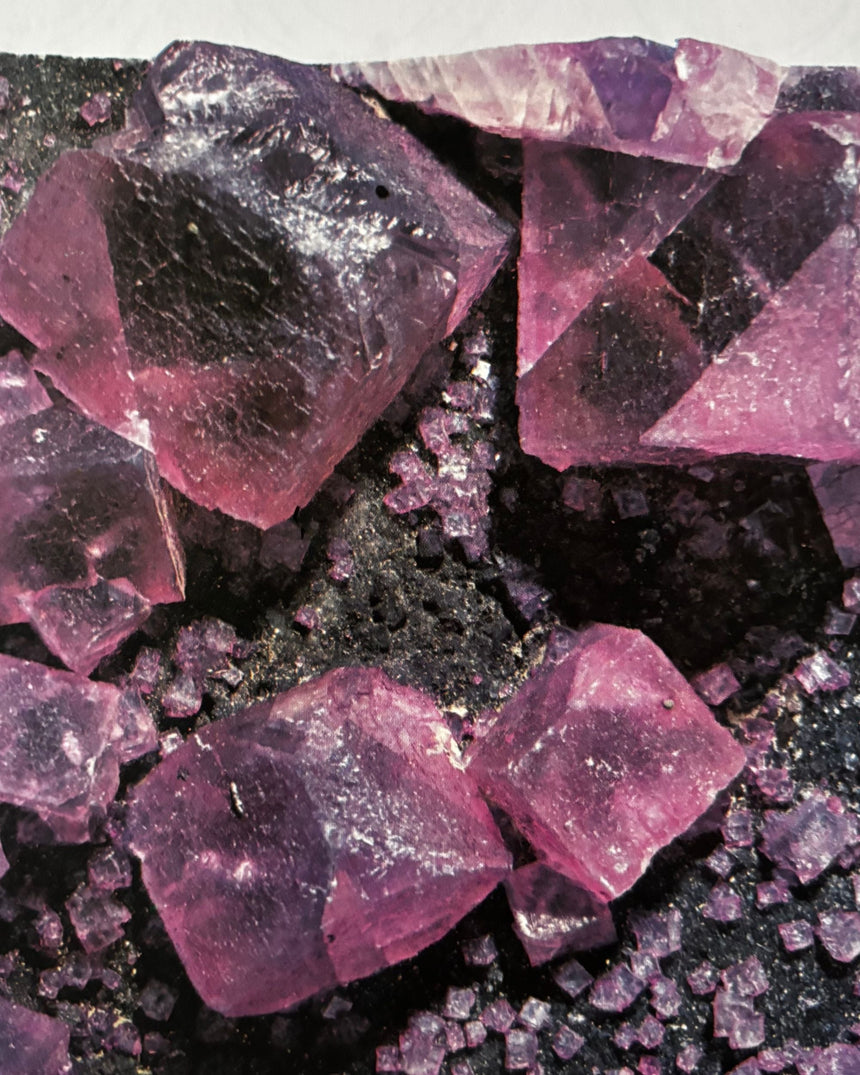 Pestil Books for vitruta Mineral and Rocks: The Worlds Most Beautiful Natural Wonders